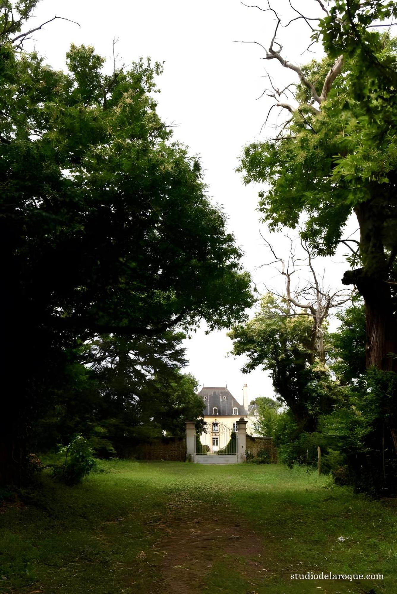 Domaine De La Briouse Bed and Breakfast Sanxay Buitenkant foto