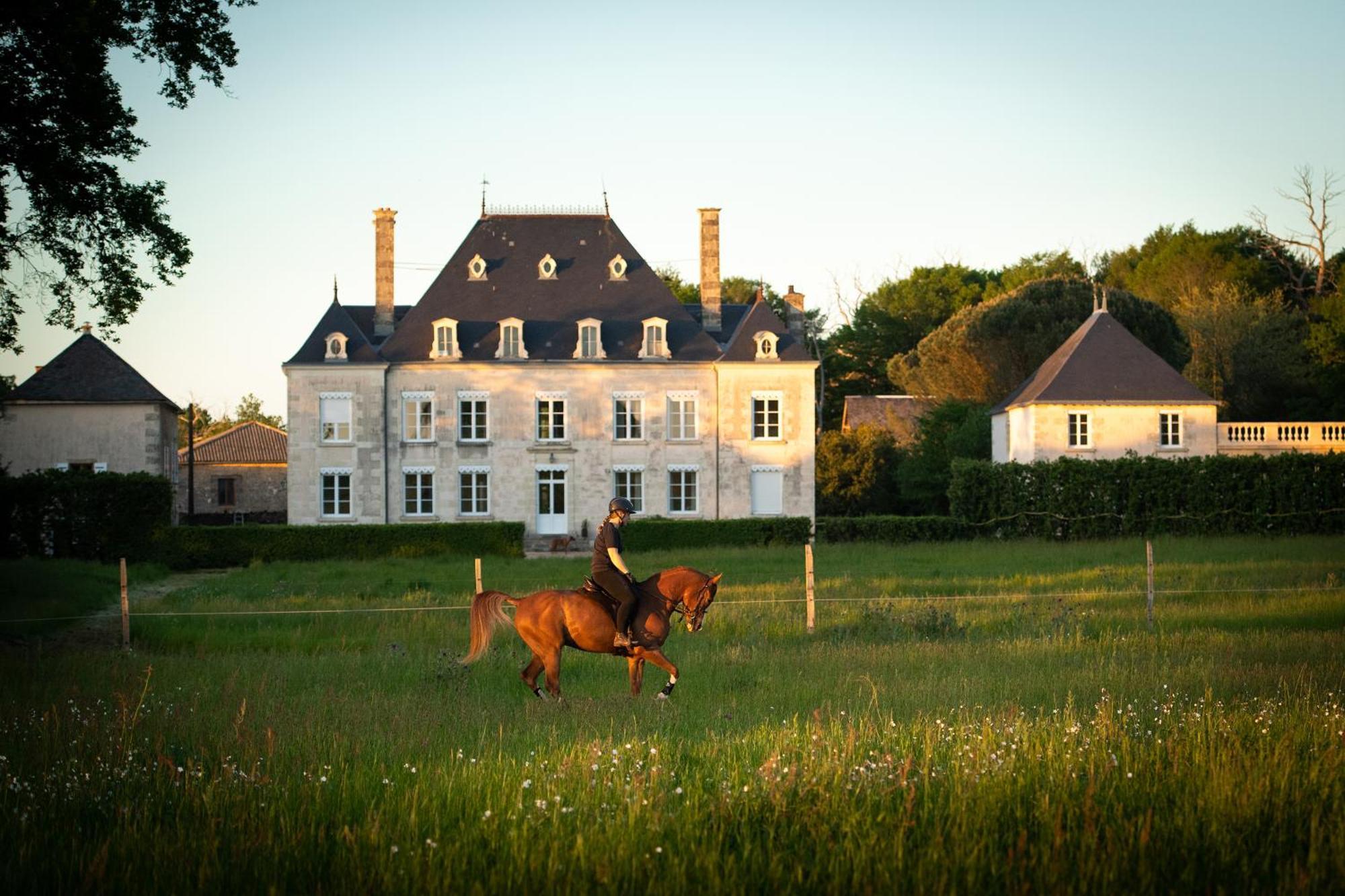 Domaine De La Briouse Bed and Breakfast Sanxay Buitenkant foto