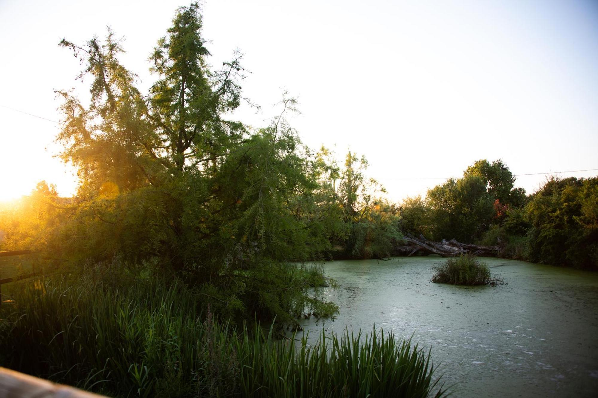 Domaine De La Briouse Bed and Breakfast Sanxay Buitenkant foto