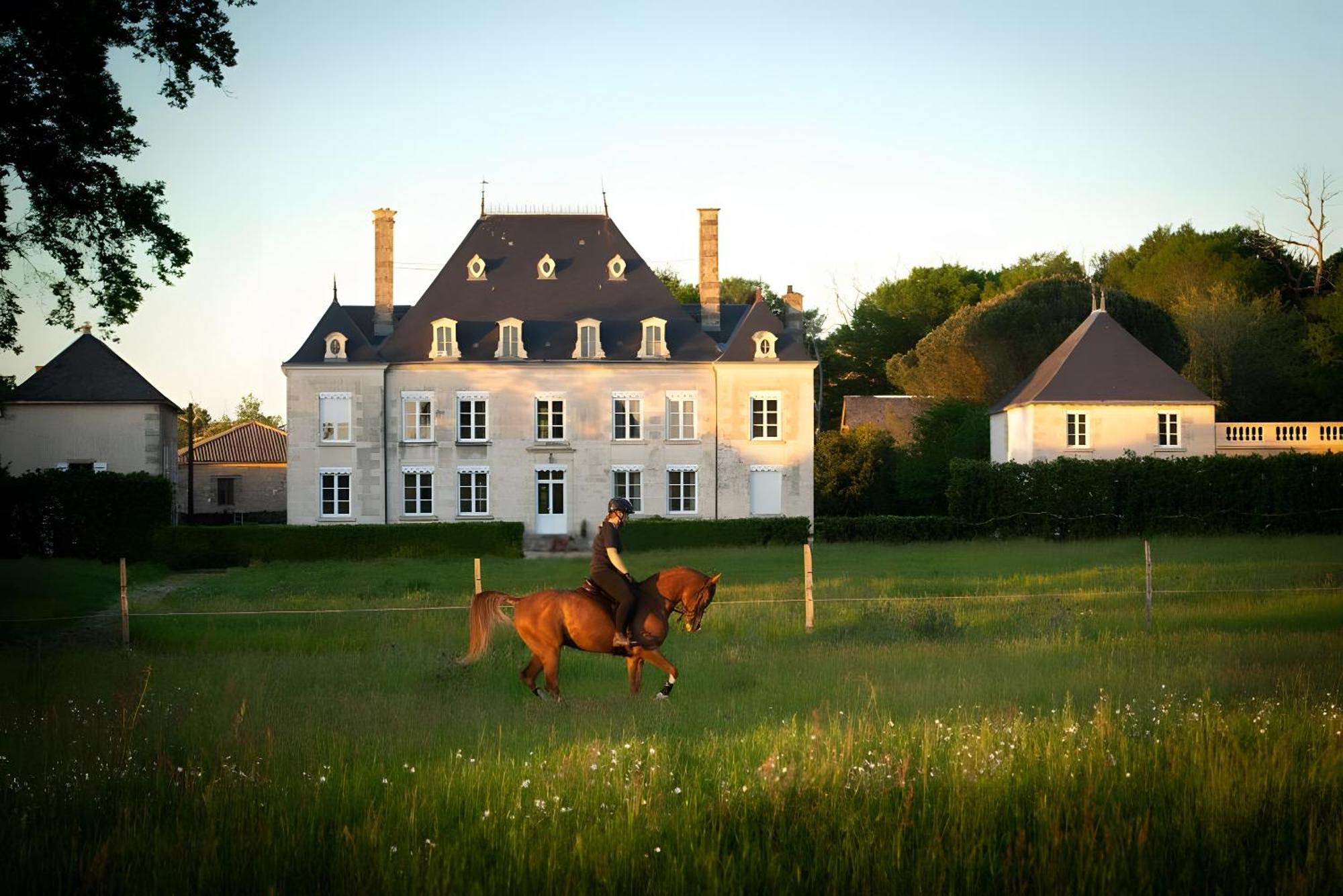 Domaine De La Briouse Bed and Breakfast Sanxay Buitenkant foto