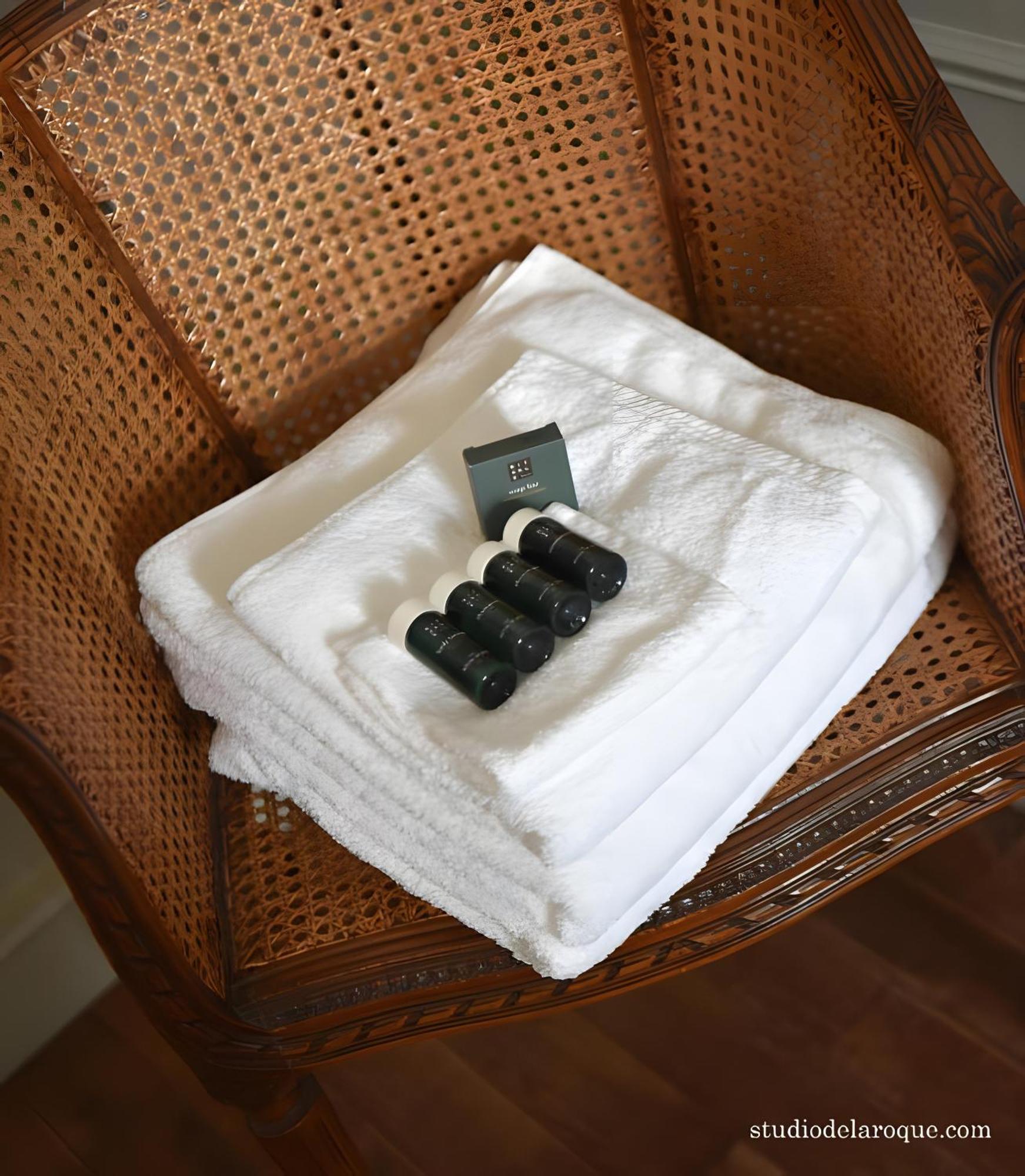 Domaine De La Briouse Bed and Breakfast Sanxay Buitenkant foto
